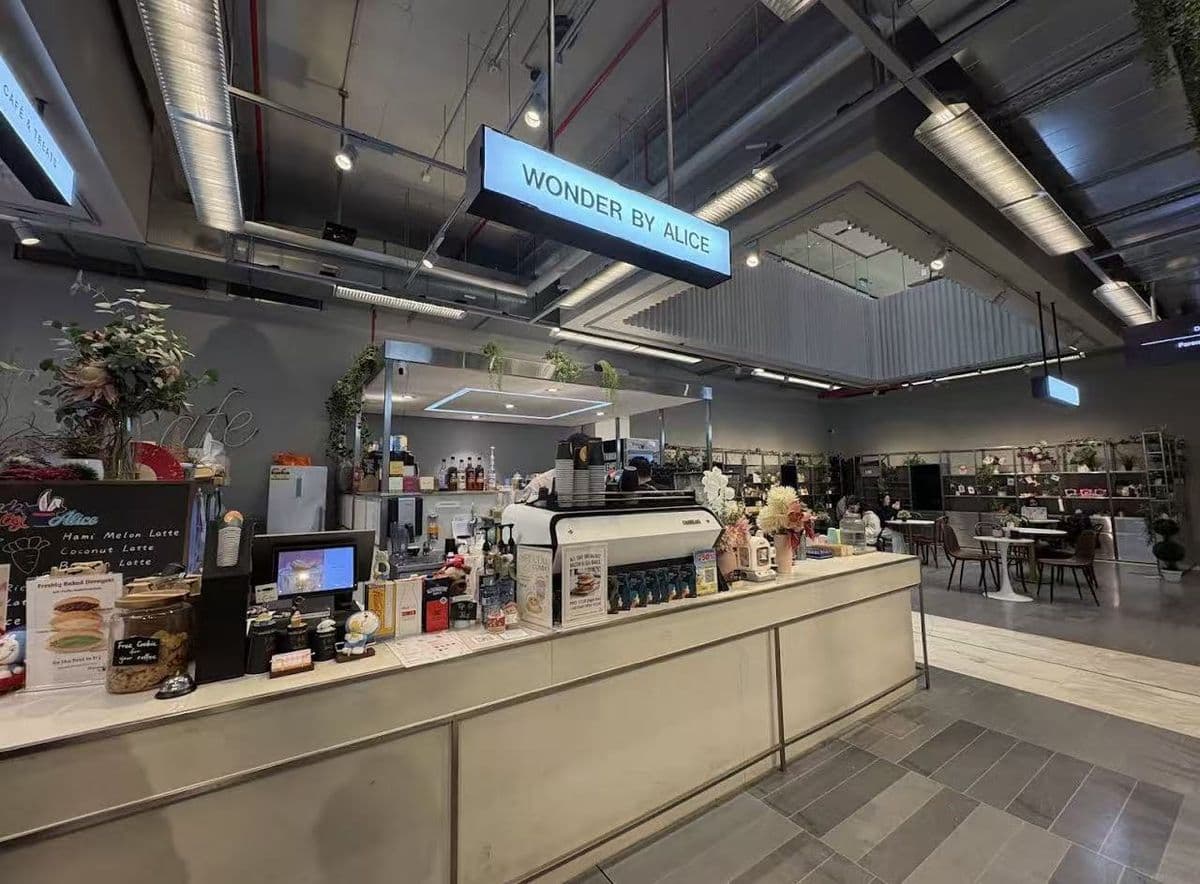 Wonder by Alice café — main counter with blue-lit signage
